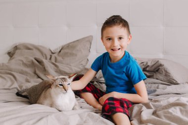 Kafkasyalı çocuk doğulu kediyi okşuyor. Çocuk yatak odasında oturmuş evcil hayvan arkadaşını okşuyor. Kıllı kedi yavrusu. Samimi bir çocukluk anı..