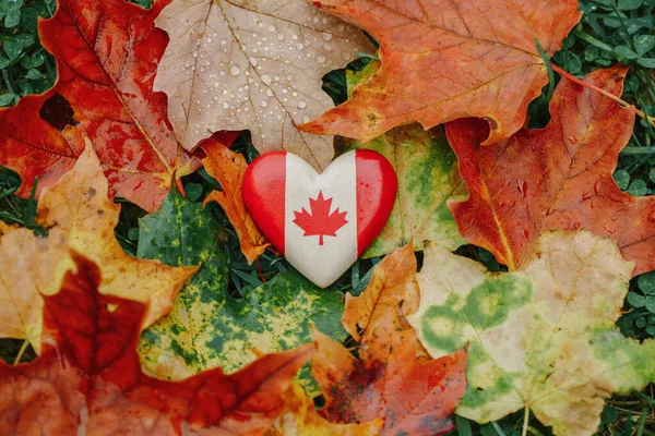 Dřevěná Kanadská Vlajka Tvaru Srdce Národní Symbol Ležící Zemi Podzimních — Stock fotografie