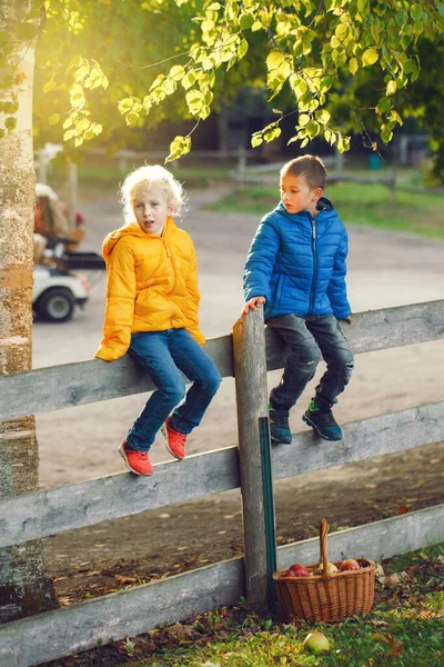 Két Aranyos Fehér Gyerek Fiú Fiú Lány Rusztikus Kerítés Park — Stock Fotó