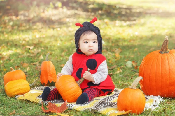 Cute Adorable Asian Chinese Baby Girl Ladybug Costume Sitting Autumn — Stock Photo, Image