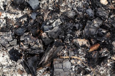 Doğal kül kömürü kömür yakma yeri dokusu. Eski, yanmış odunlardan oluşan yakın çekim makrosu. Soyut yanmış ağaç kütüğü doğa arkaplanı ya da duvar kağıdı. Kopyalama alanı olan pis yangın yüzeyi.