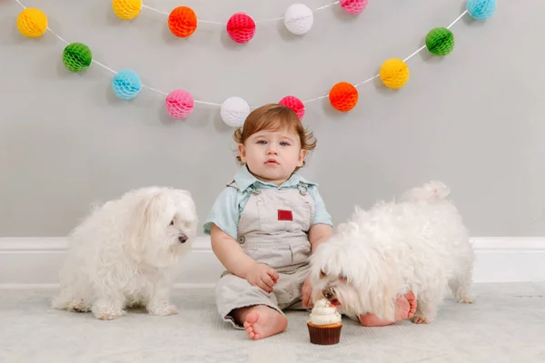 Boldog Aranyos Kaukázusi Kisfiú Ünnepli Első Születésnapját Otthon Gyerek Kisgyerek — Stock Fotó