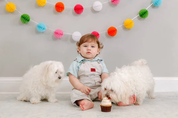 Selamat Ulang Tahun Bayi Kaukasia Yang Lucu Rumah Anak Balita — Stok Foto