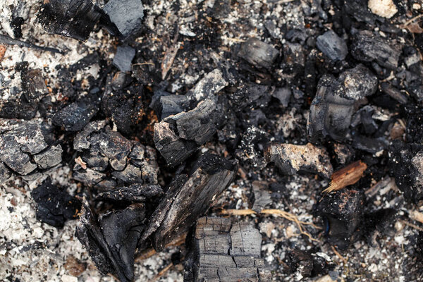 Естественная зола угольного камина место текстуры фона. Крупный план из старого обгоревшего дерева. Аннотация сгоревшее дерево бревно природный фон или обои. Грязная грязная поверхность фейерверка с копирайтом.