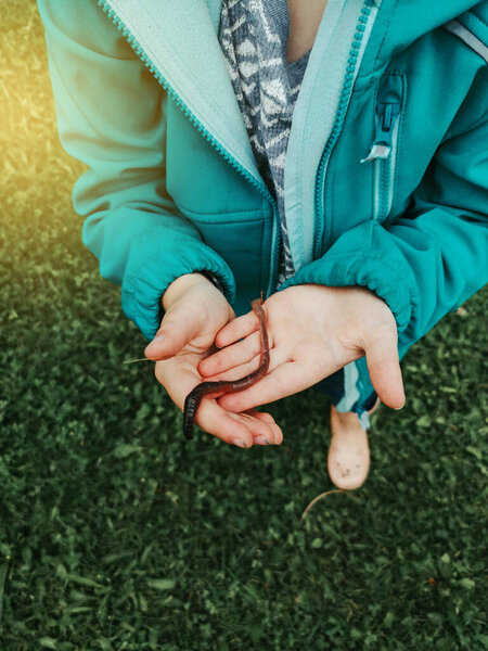 Cute Caucasian preschool girl holding rain worm in hands. Child kid learning studying nature around. Natural biology science. Curious kid playing watching touching a wild animal outdoors. 