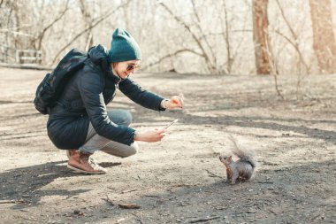 Parkta sincap fotoğrafı çeken beyaz bir kadın. Turist gezgin kız ormanda vahşi bir hayvanın akıllı telefon fotoğraflarını çekiyor. Eğlenceli açık hava aktivitesi ve blog vloglaması çevrimiçi.