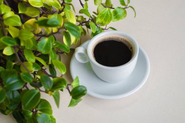 Ofiste sade kahve fincanı. İçme Konsepti