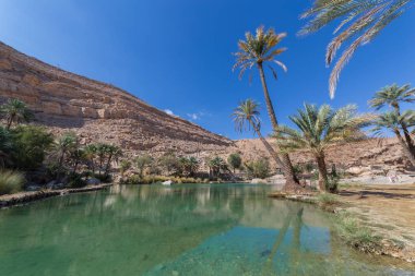 Zümrüt havuzları Wadi Bani Khalid, Umman