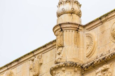 Gargoyle manastırda Jeronimos, Lisbon, Portekiz