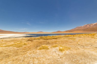 Canapa Gölü 'ndeki Pembe James Flamingoları' nın muhteşem panoramik manzarası, laguna, lagün. Muhteşem Bolivya And Dağları ve Altiplano manzarası muhteşem Siloli Çölü, Salar de Uyuni, Bolivya yakınlarındaki