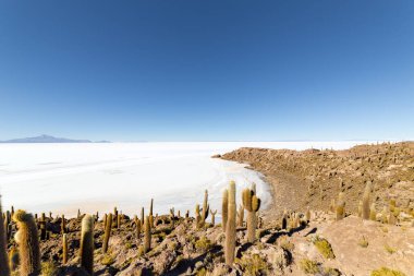Incahuasi Adası (Kaktüs Adası) Bolivya 'da, dünyanın en büyük tuz düzlüğü olan Salar de Uyuni' de yer alır.