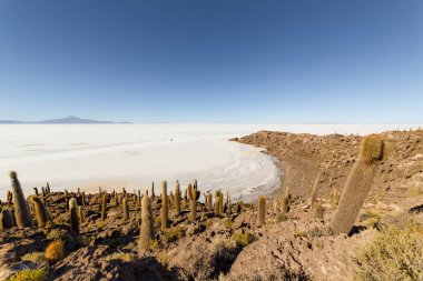 Incahuasi Adası (Kaktüs Adası) Bolivya 'da, dünyanın en büyük tuz düzlüğü olan Salar de Uyuni' de yer alır.