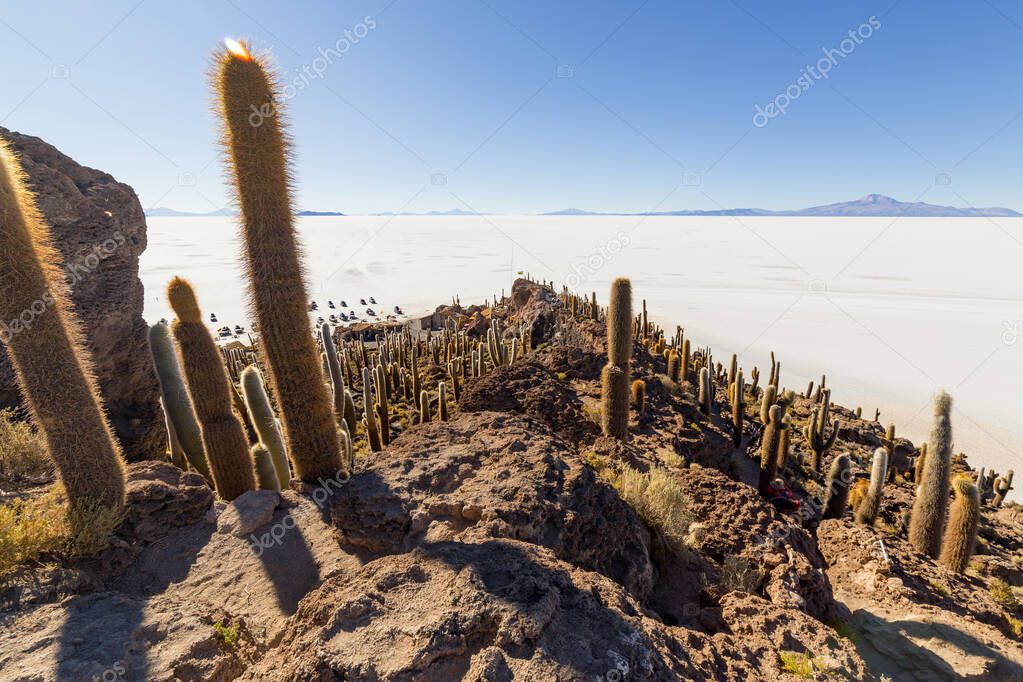 Incahuasi island (Cactus Island) located on Salar de Uyuni, the world's largest salt flat area, in Bolivia