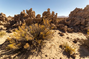 Salar de Uyuni 'den Bolivya' nın güneyindeki lagünlere kadar uzanan manzaralı rota boyunca çölde muhteşem kaya oluşumları.