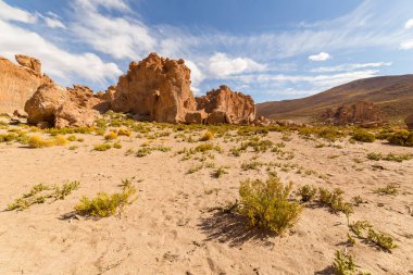 Bolivya 'nın güneyindeki Valle de Rocas ya da Taş Vadisi' ndeki turuncu renkli kaya ve kayalar eritilmiş ve tuhaf şekillerde oluşmuştur.