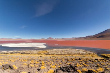 Laguna Colorada 'daki pembe James flamingolarının göz kamaştırıcı panoramik görüntüsü. Muhteşem Bolivya And Dağları ve Altiplano manzarası muhteşem Siloli Çölü, Salar de Uyuni, Bolivya yakınlarındaki