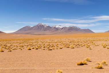 Ünlü vahşi Siloli Çölü 'nün çarpıcı panoramik manzarası. Bolivya And Dağları ve Altiplano 'nun muhteşem manzarası Bolivya' da Salar de Uyuni ve Laguna Colorada arasındaki manzara yolu boyunca uzanır.