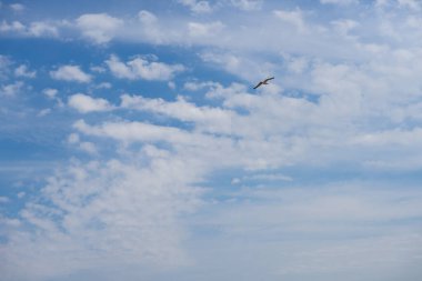 İlkbaharda bulutlu ve martılı gökyüzü