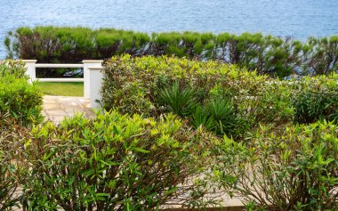 Arka planda deniz ve kumsala erişimi olan rahatlatıcı bir bahçe.