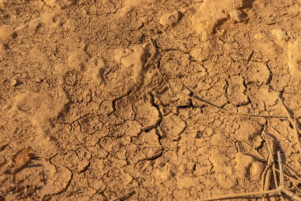 Dry Cracked Earth Texture Cracks Dried Soil Desertification — Stock Photo, Image