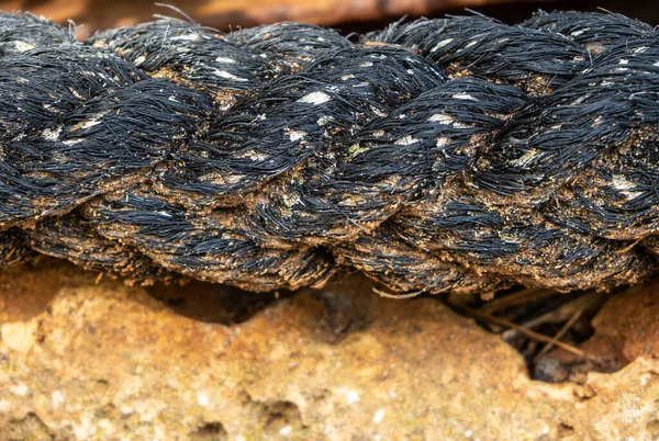 Old Worn Out Black Braided Rope Mooring Ships Rocks — Stock Photo, Image