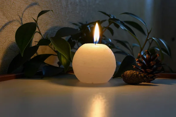 Masanın üzerinde iç mekan bitkileri olan mum.