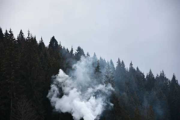 Ormanda yangın ve duman