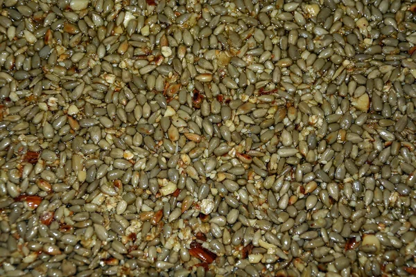 günahkar tohumların arkaplanı