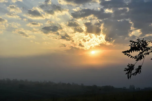 Ormanda şafak vakti