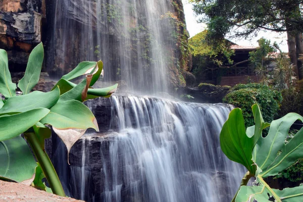 Tropikal ormanda şelale