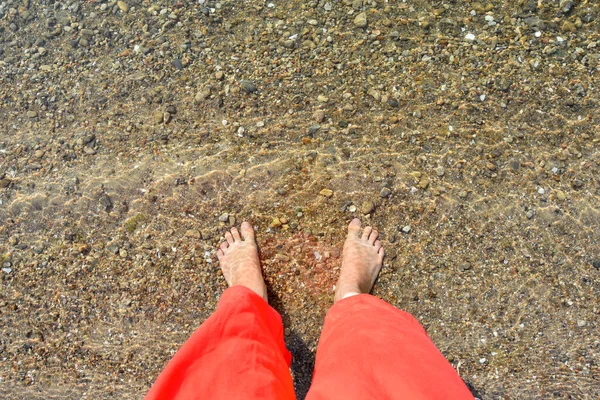 legs in red pants in clear sea water