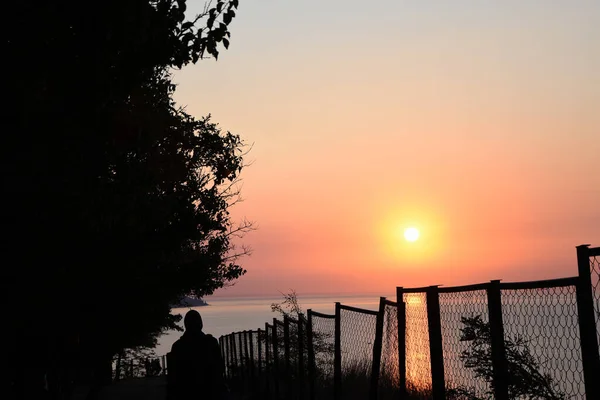 Ormanda şafağı izleyen bir adamın silüeti.