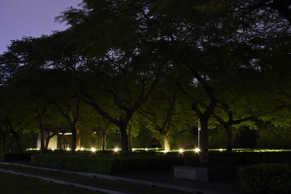 Fenerlerle aydınlatılan yeşil ağaçlar