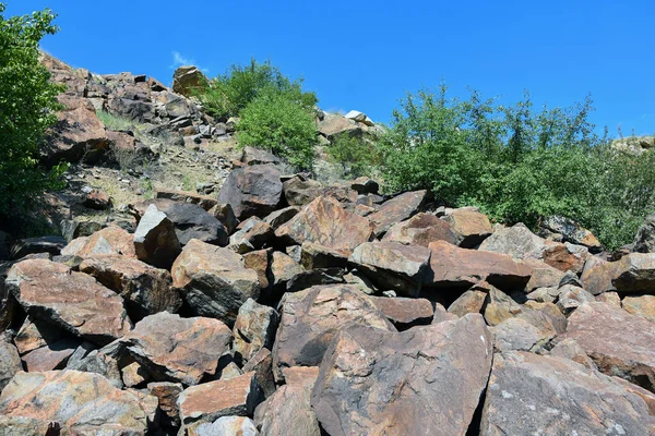 Mavi gökyüzü ve ağaçlarla kaplı taş duvar