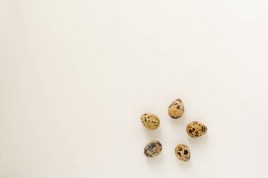 Beş küçük bıldırcın yumurtası beyaz bir arkaplanda izole bir şekilde duruyor.