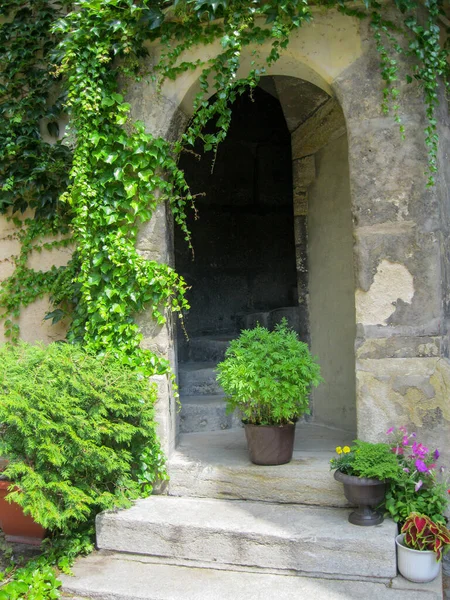 Antico Arco Pietra Con Gradini Con Fiori Vaso Bindweed Sulle — Foto Stock