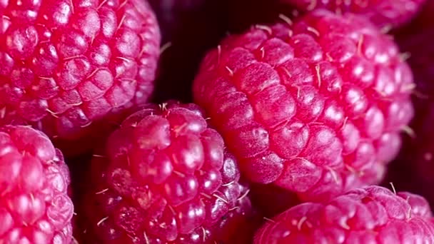 Juicy fresh raspberries rotating. Raspberries fruit background. Macro shot. — Stock Video