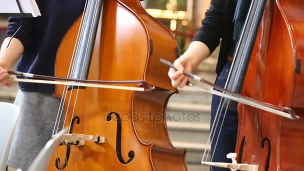 Primer plano de músicos mujeres tocando música clásica en violonchelo . — Vídeo de stock