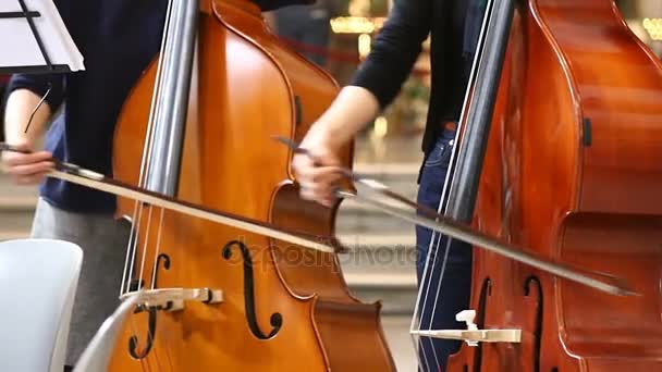 Primer plano de músicos mujeres tocando música clásica en violonchelo . — Vídeo de stock