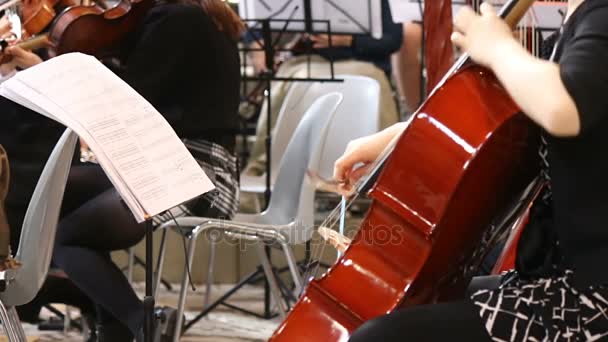 첼로에 클래식 음악을 재생 하는 음악가 여자의 클로즈업. — 비디오