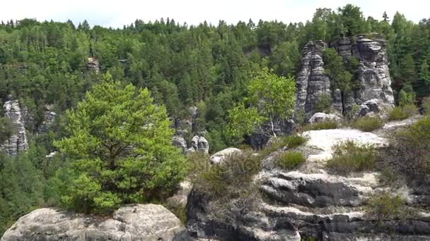 Taman Nasional Swiss Saxon, Bastei — Stok Video