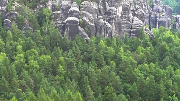 Taman Nasional Swiss Saxon, Bastei — Stok Video