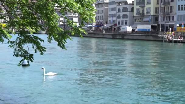 ZURICH, SUIZA - 04 DE JULIO DE 2017: Vista del centro histórico de Zurich, el río Limmat y el lago Zurich, Suiza. Zurich es una ciudad global líder y uno de los centros financieros más grandes del mundo . — Vídeo de stock