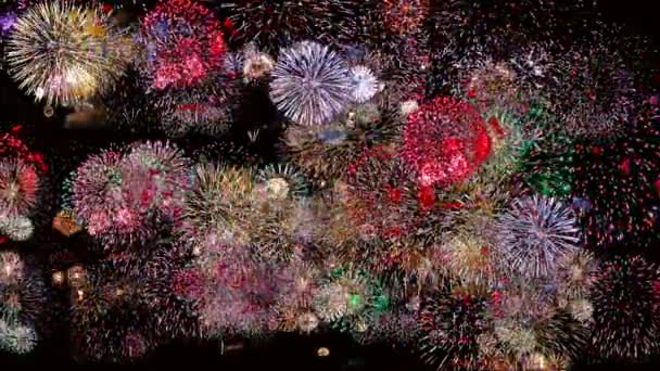 Fogos de artifício coloridos na noite de férias 4k. Fogos de artifício iluminam o céu . — Vídeo de Stock