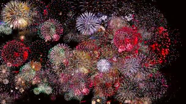 Feux d'artifice colorés lors de la nuit de vacances 4k. Des feux d'artifice illuminent le ciel . — Video