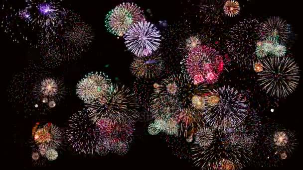 Fogos de artifício coloridos na noite de férias 4k. Fogos de artifício iluminam o céu . — Vídeo de Stock