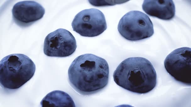 Att äta blåbär med kräm av sked, frukt bakgrund. 4k. — Stockvideo