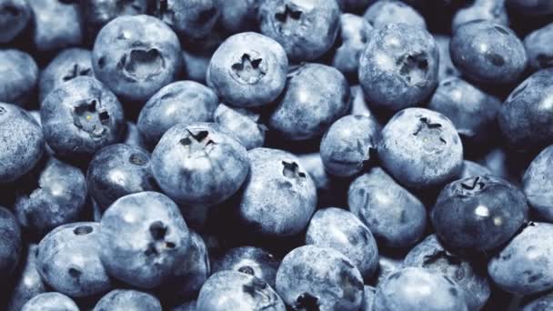 Closeup Blueberries rotating. Seamless looping, 4k. Fruit background. — Stock Video