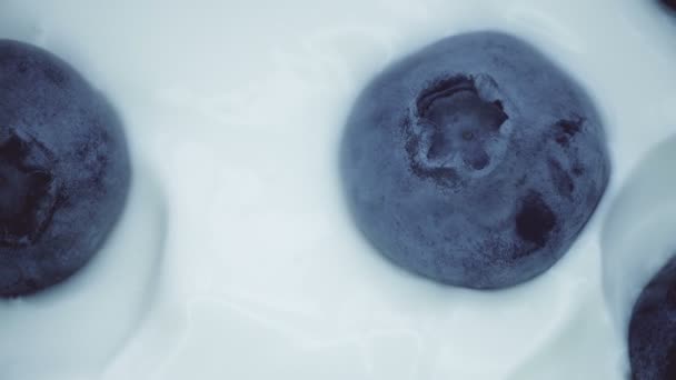Closeup Mirtilos em iogurte natural rotativo. Looping sem emenda, 4K. Fundo das frutas . — Vídeo de Stock