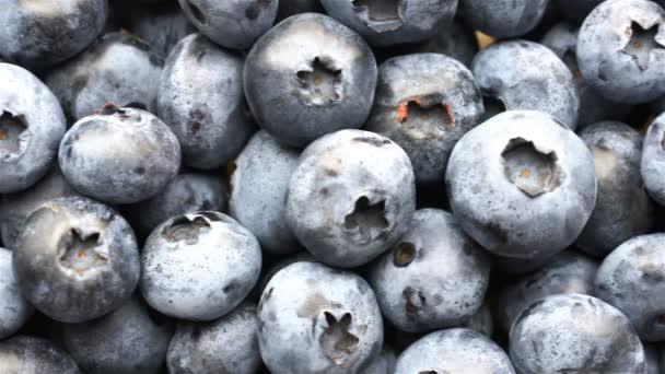 Nahaufnahme Schwenken von frischen Heidelbeeren oder Blaubeeren, 4k. — Stockvideo